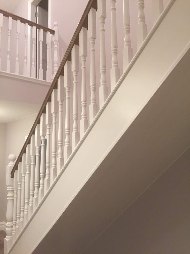 Kirwan Painters & Decorators gallery image 26